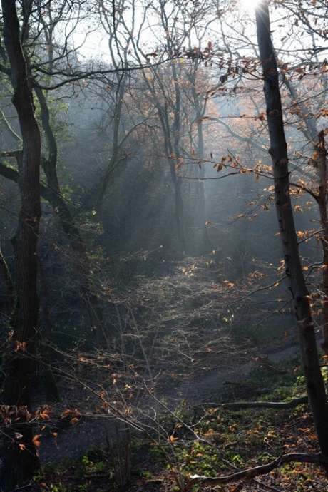 Licht in val