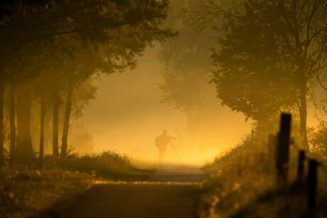Zonsopkomst en mist