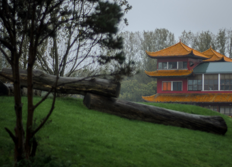 Chinese boot in Rotterdam