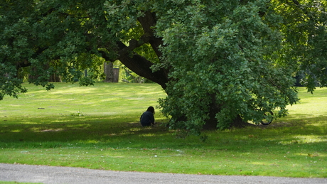 zaterdag in het park