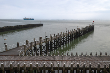 Loodsensteiger Vlissingen