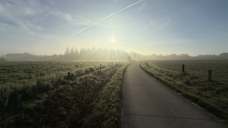 Ochtendlicht