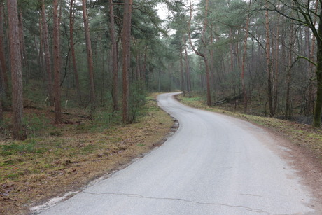 Weg