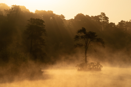 Natuurlijk in de spotlight