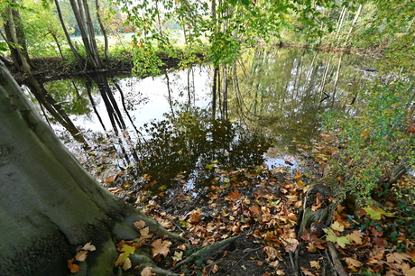 Herfst-moment