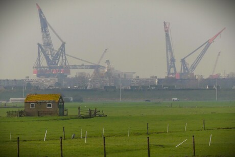 P1300302   Maasland  Molenpad tevens weide pad   Uitz  Maassluis west 6 mrt 2026  