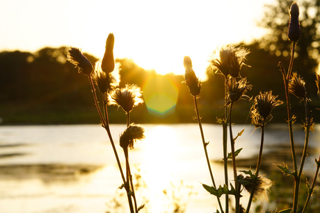 Zonsondergang aan het water