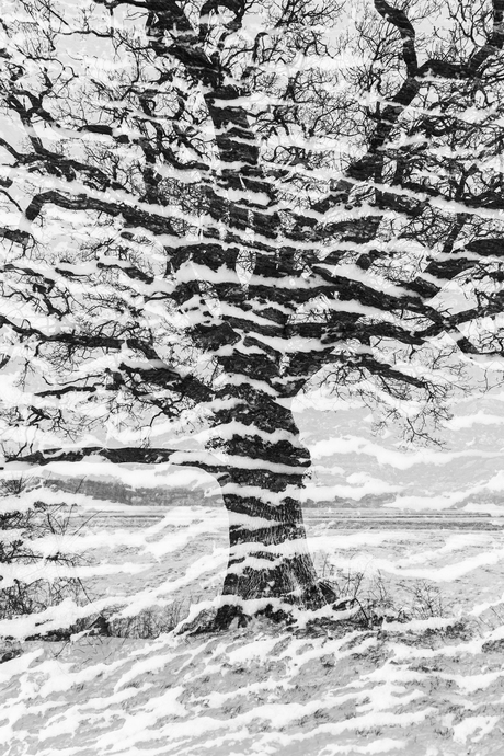 Verbonden met de winter