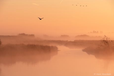 Mist in de polder