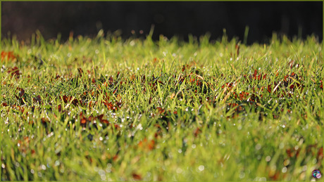 Onder onze voeten …