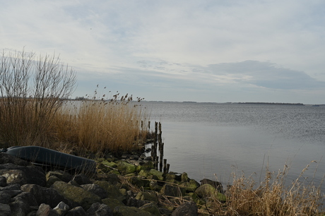 Langs de waterkant