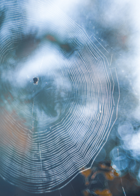 De herfst gezien door mijn vintage lens