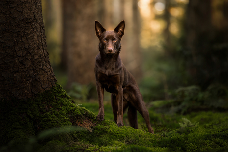 Into the wildness 