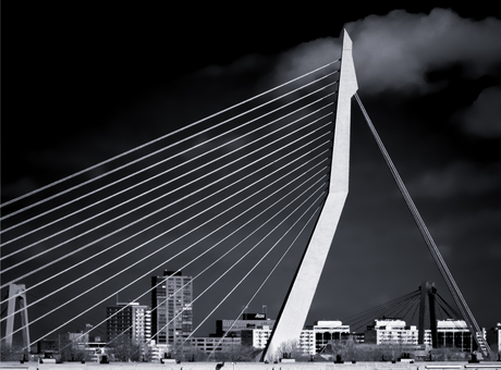 Erasmusbrug