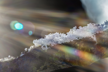 Sneeuw, licht en een macrolens