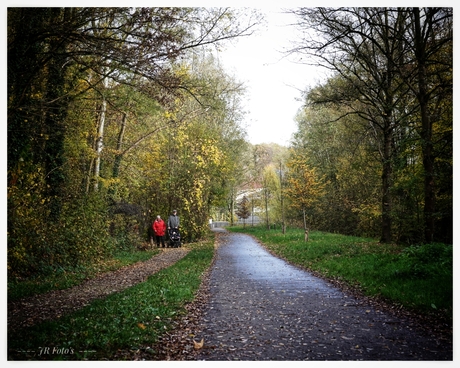 Herfstwandeling 