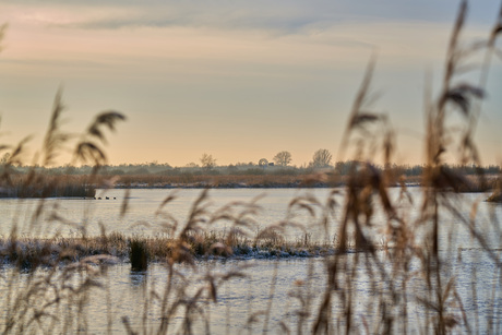 Winters landschap