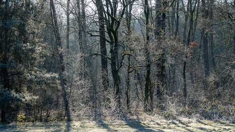 Op naar de lente!