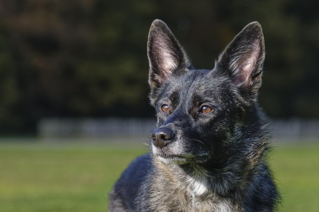 Vogue ontdekt een nieuwe omgeving