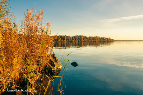 Spiegelplas