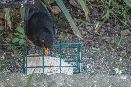 Even deze zijde bekijken  (5) 