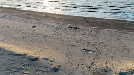 Sporen op het strand