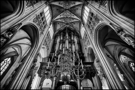 Orgel in de St. Jan