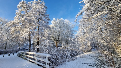 Een winters Duivendrecht sprankelend in de zon