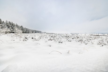 Dagje Hoge Venen Hautes Fagnes 2025