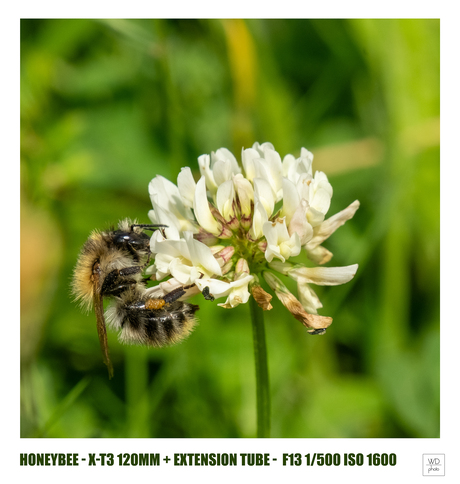 Summer School - week 1 - Macro