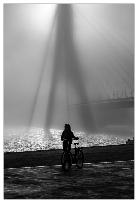 Erasmusbrug in de mist