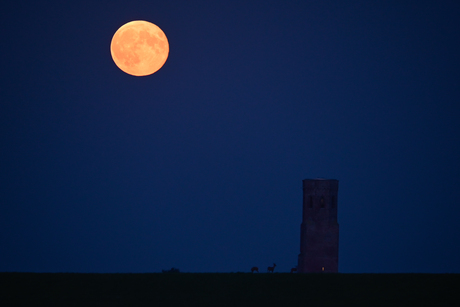 Supermaan bij Plompe Toren