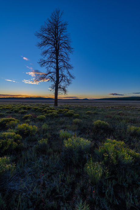 Zonsondergang in Amerika
