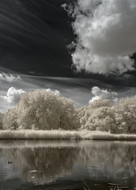 The giant Cloud