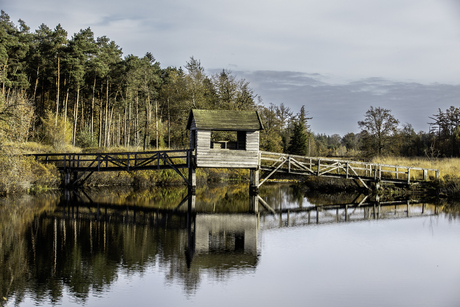 De Haarplas