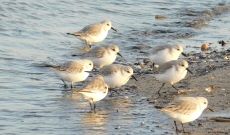 "Eindelijk weer vaste grond onder de voeten"