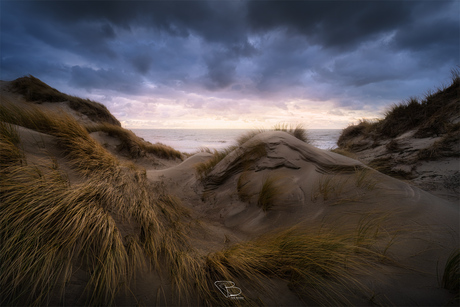 Duinen Westenschouwen