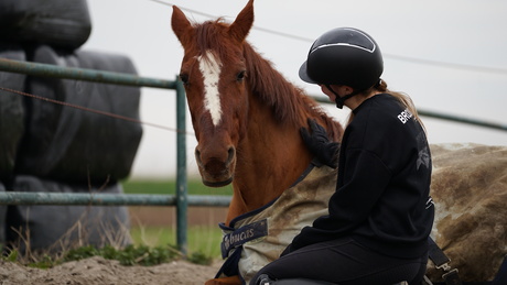 lenstest |Sigma 70-200 | F2.8