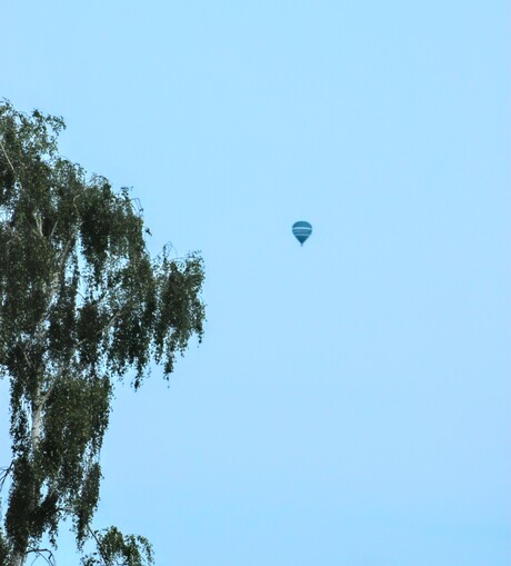 Luchtballon 
