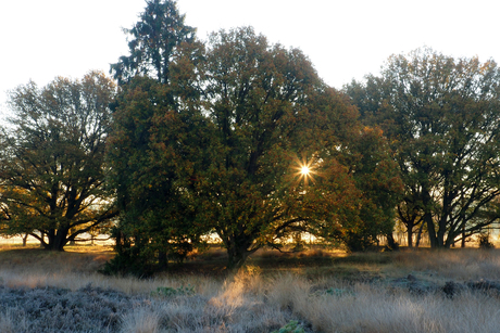 Herfst en winter samen 