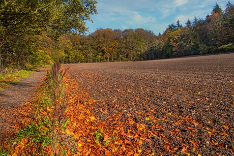 Herfst