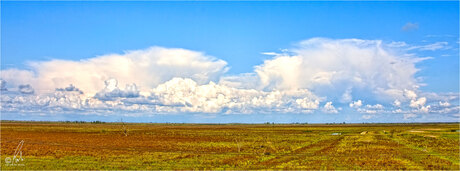 Oostvaardersplassen