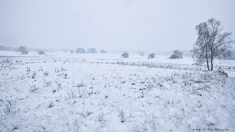 Sneeuw Landgoed Welna