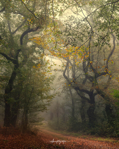 No signal, no problem!