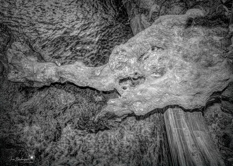 De Wachter aan de Oever.