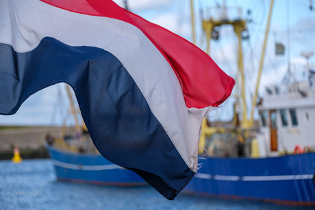 5 Mei