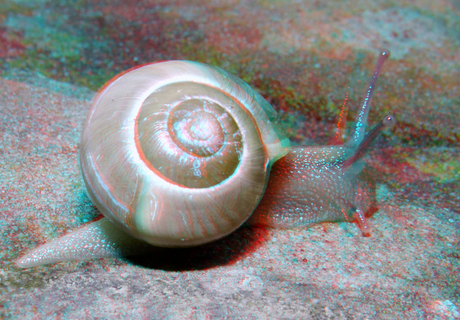 Snail Lumix G6 H-FT012 3D macro