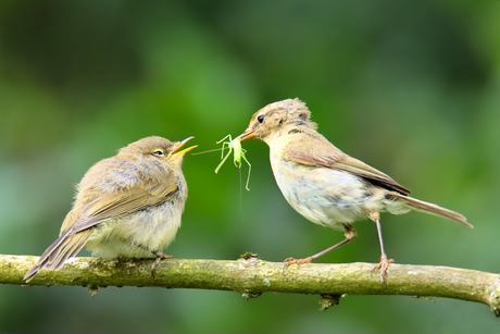 Tijd voor een hapje.