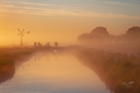 Poldermolentje in de mist