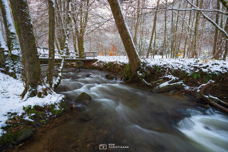 Let it Flow - Op onze aankomstdag in de Belgische Ardennen lag er aardig wat sneeuw. In het park lag een mooi beekje, spullen uitpakken en snel met de camera spull - foto door RobChristiaans op 25-11-2024 - locatie: Malmedy, België - deze foto bevat: belgië, winter, sneeuw, beekje, riviertje, rivier, long exposure, lange sluitertijd, herfstkleuren, rob christiaans, ardennen, malmedy, polarisatie filter, canon, canon eos r5, iso 250, diafragma ƒ/13, sluitertijd 4/5s, brandpuntafstand 16mm, plant, water, sneeuw, fluviale landvormen van stromen, natuurlijk landschap, boom, takje, hout, kofferbak, waterlichaam